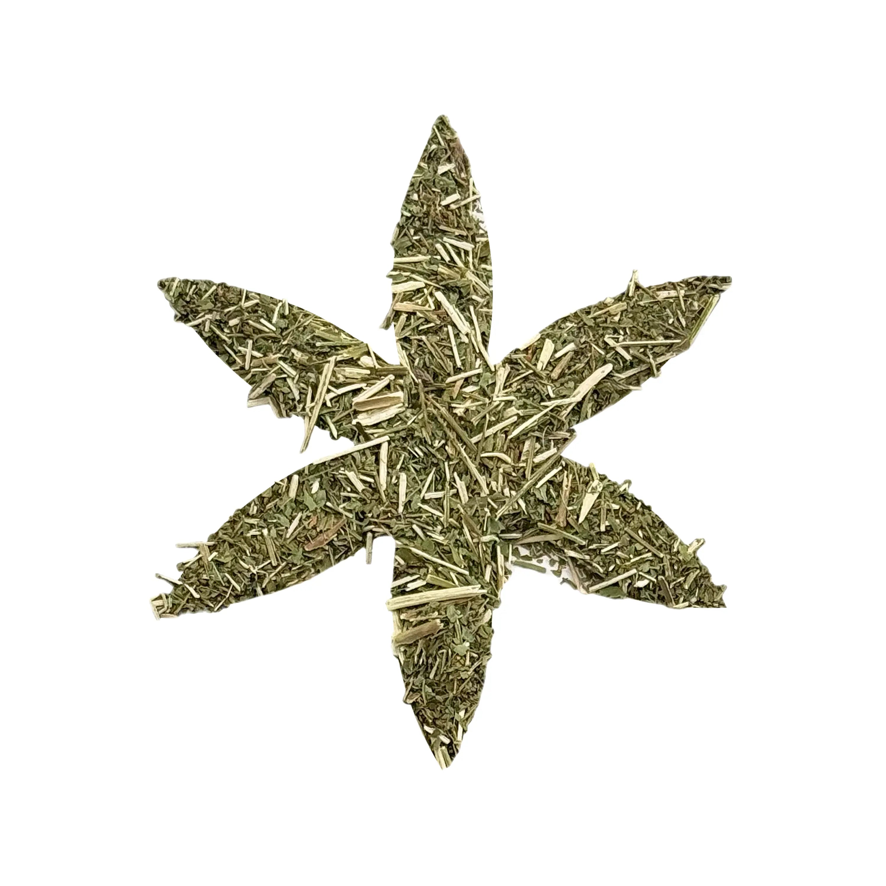 Organic Blue Vervain