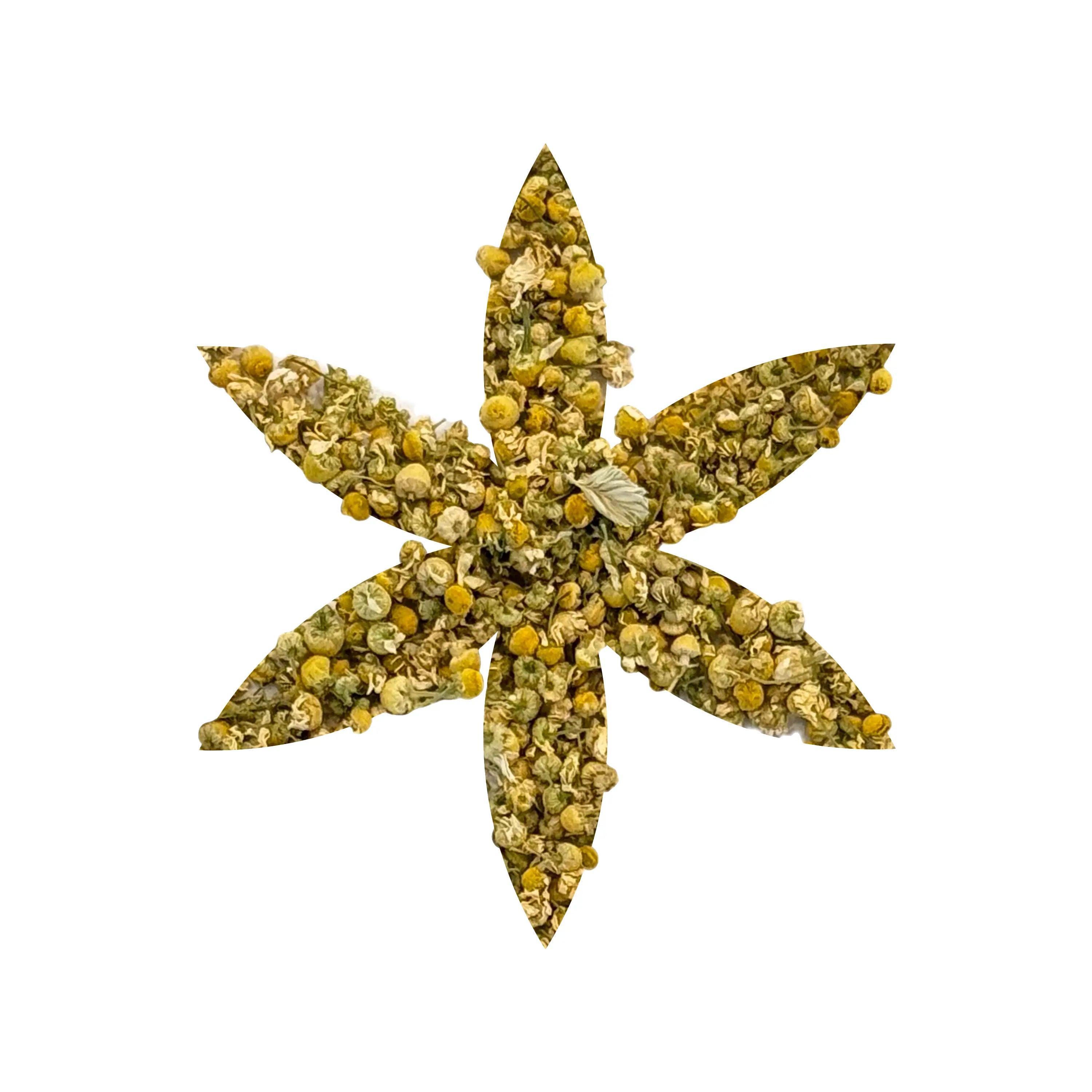 Organic German Chamomile Flowers