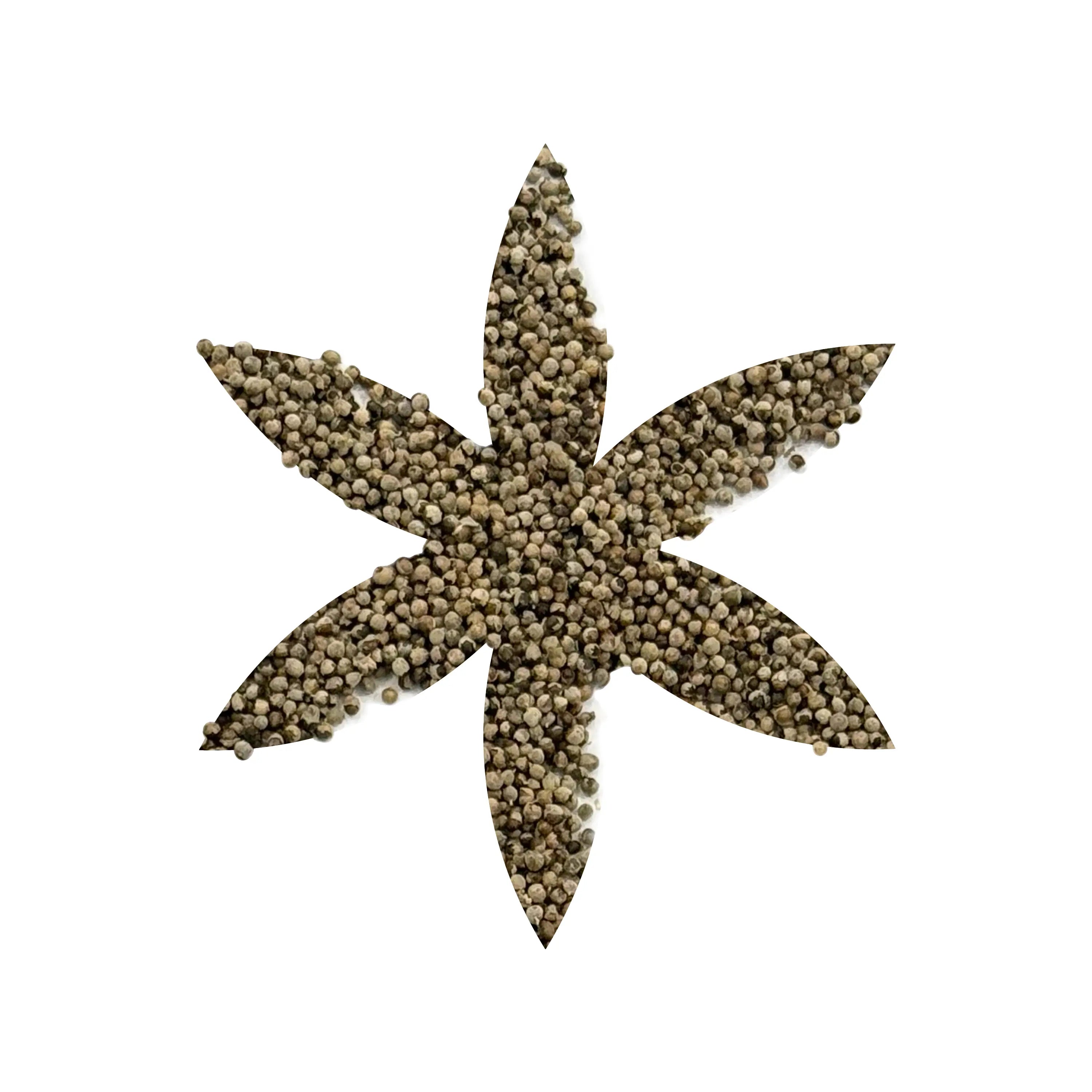 Organic Chasteberry (Vitex)