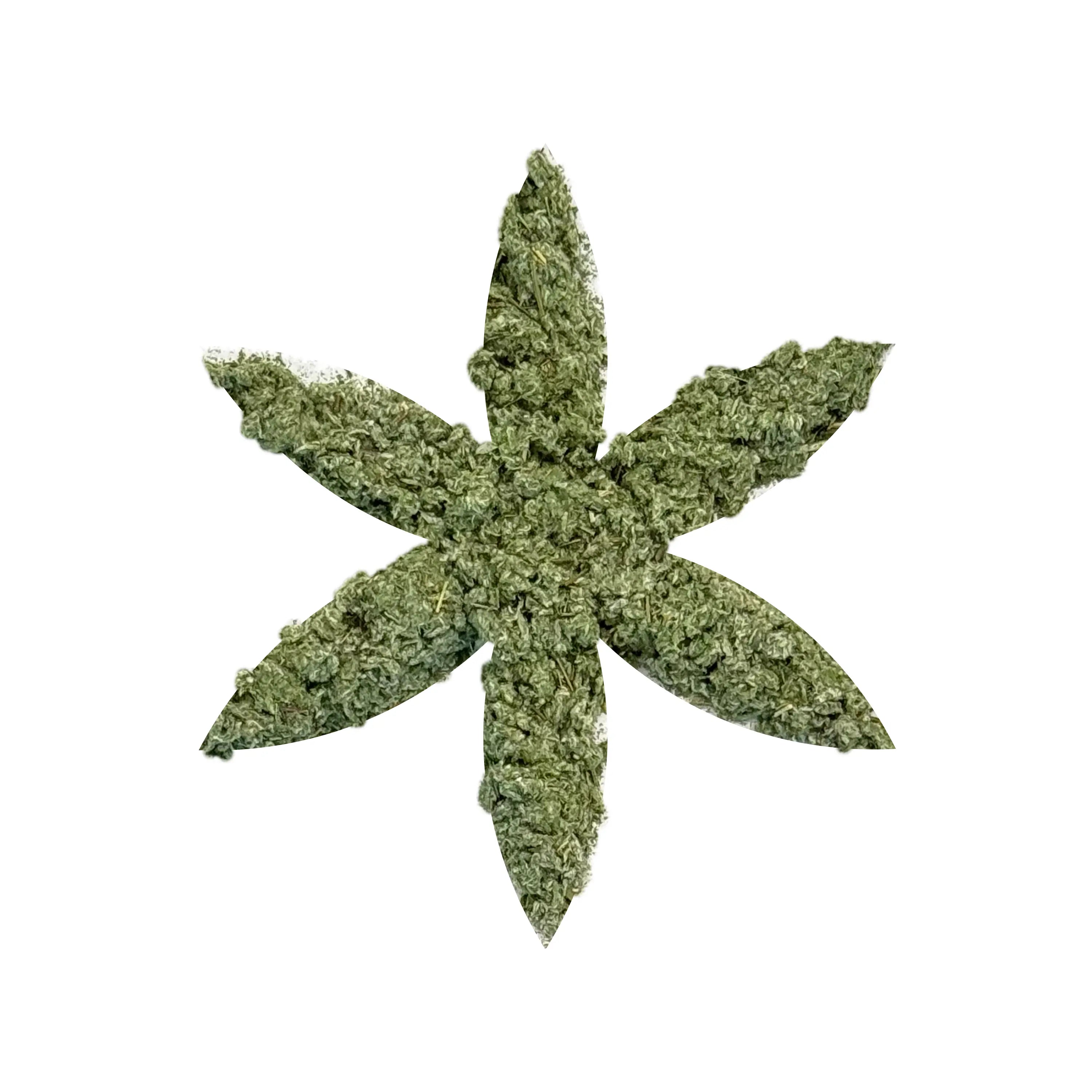 Organic Mugwort