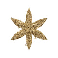 Organic Nettle Root