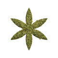Organic Skullcap