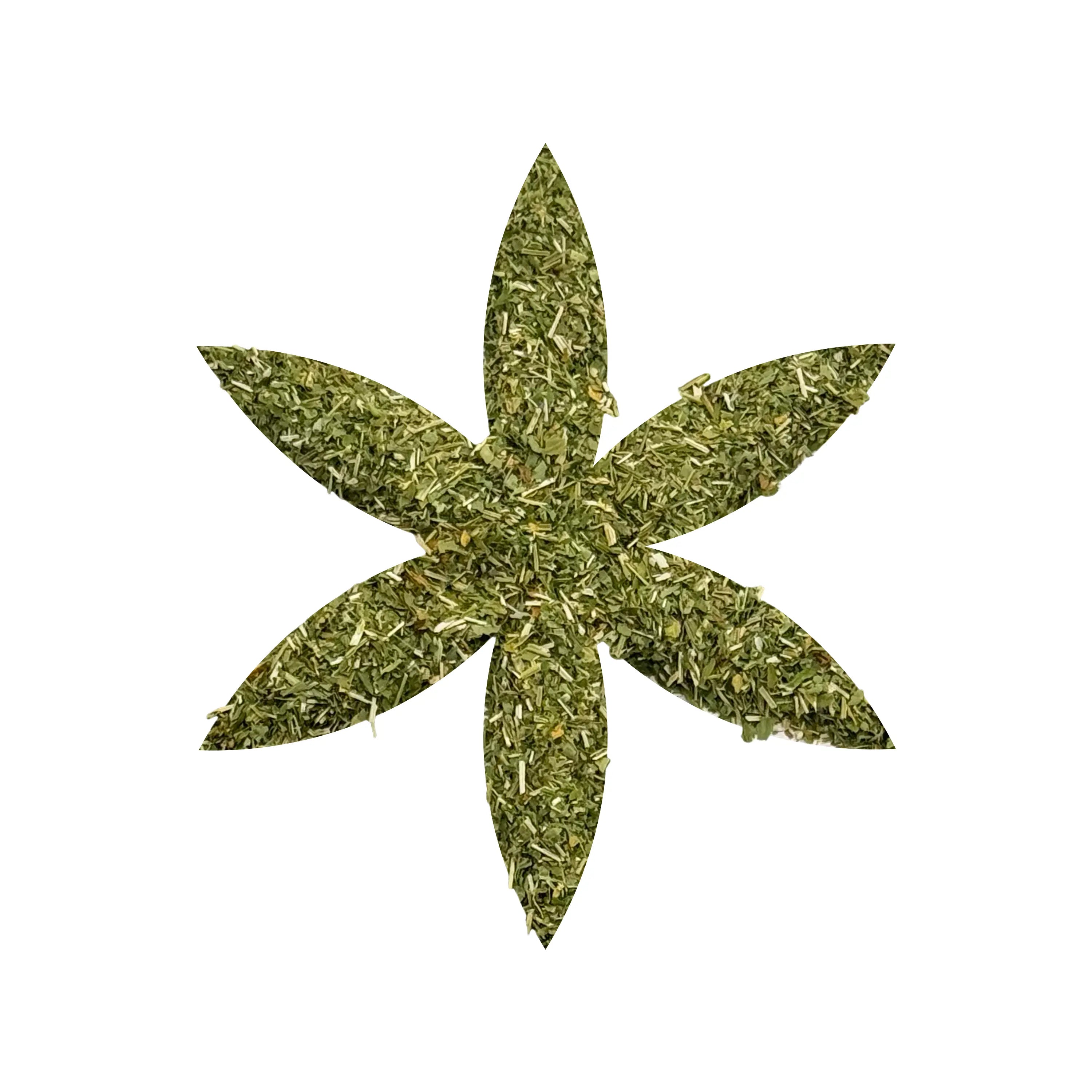 Organic Skullcap